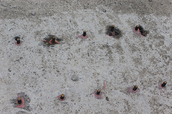 1571818156628102.jpg IMG_5238.JPG